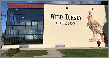 Wild Turkey Wild Turkey