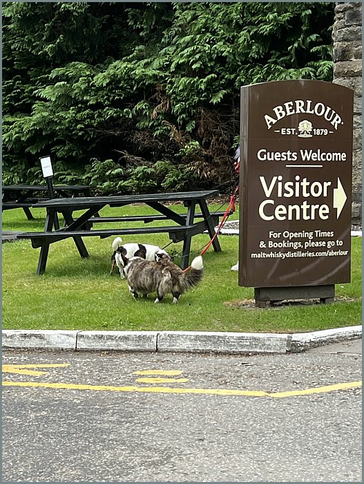 Aberlour Brennerei